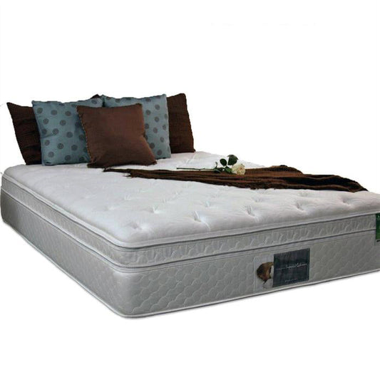 8500 Euro Top Softside Waterbed